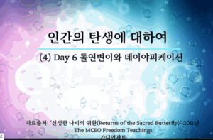 인간의탄생4