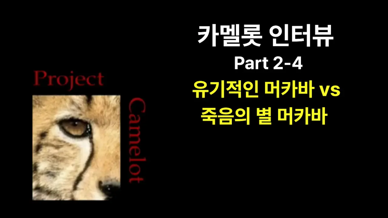 camelot2-4