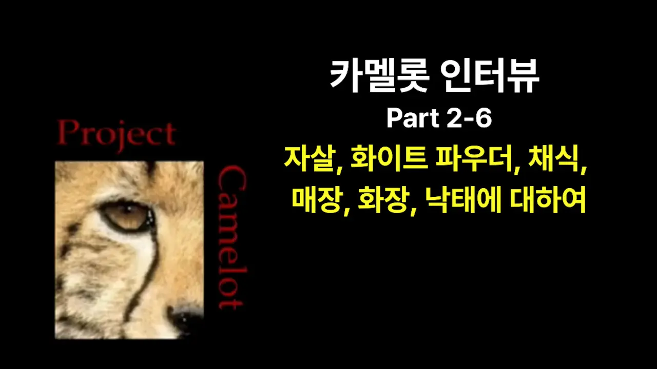 (2010.04) 카멜롯 인터뷰 - Part 2-6 자살, 화이트 파우더, 채식, 매장, 화장, 낙태에 대하여
